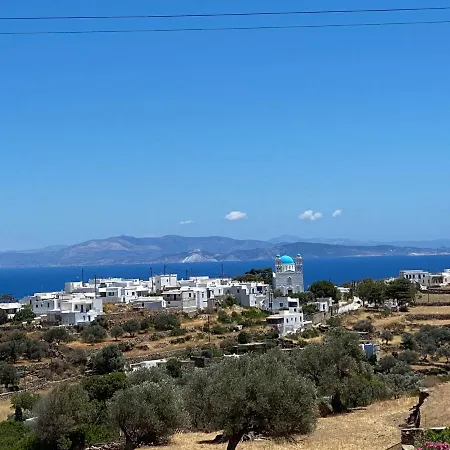 μαργαρίτα