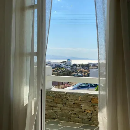 Πανσιόν μαργαρίτα *