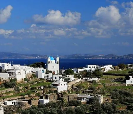 μαργαρίτα *