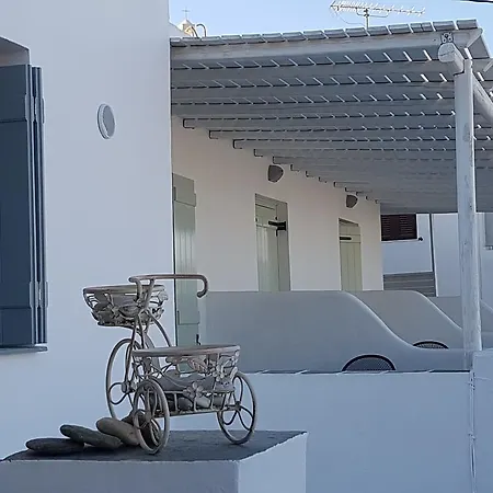 Πανσιόν μαργαρίτα *