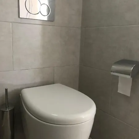 Πανσιόν μαργαρίτα *