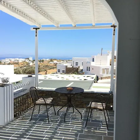 Πανσιόν μαργαρίτα