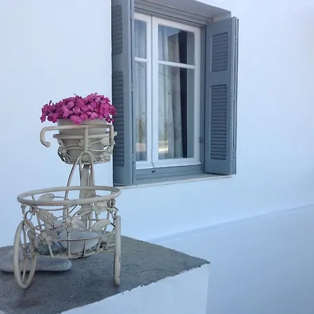 Guest house Margarita 3*